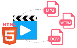 Any Video Converter Pro đều hỗ trợ HTML 5