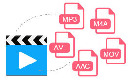 Any Video Converter Pro đều có trình phát đa phương tiện tích hợp