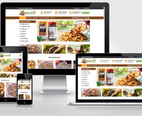 Theme WordPress bán hạt điều đã Việt Hóa