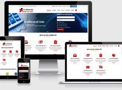 Theme WordPress giới thiệu công ty dịch vụ kế toán số 2