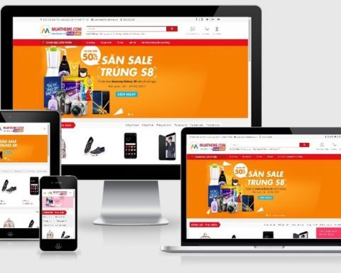 Theme WordPress thương mại điện tử đẹp – DXT Store