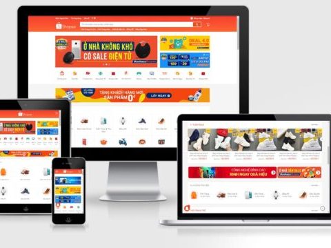 Theme WordPress thương mại điện tử mẫu số 6 (giống shopee)