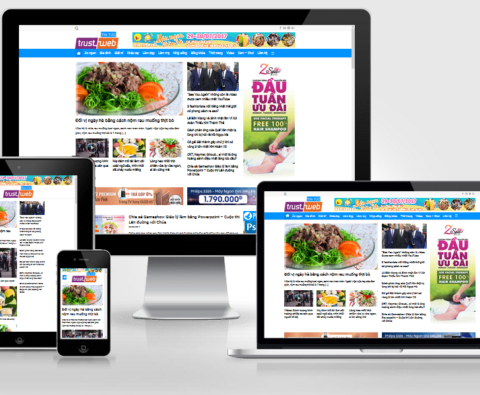 Theme wordpress tin tức / blog đã Việt hóa