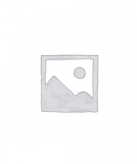 Nơi nhập dữ liệu