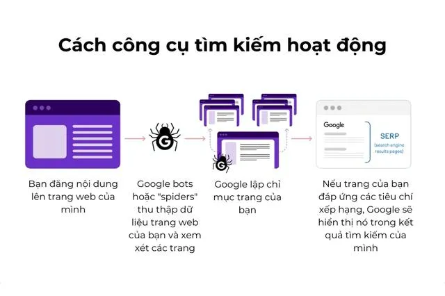 cơ chế hoạt động của SEO