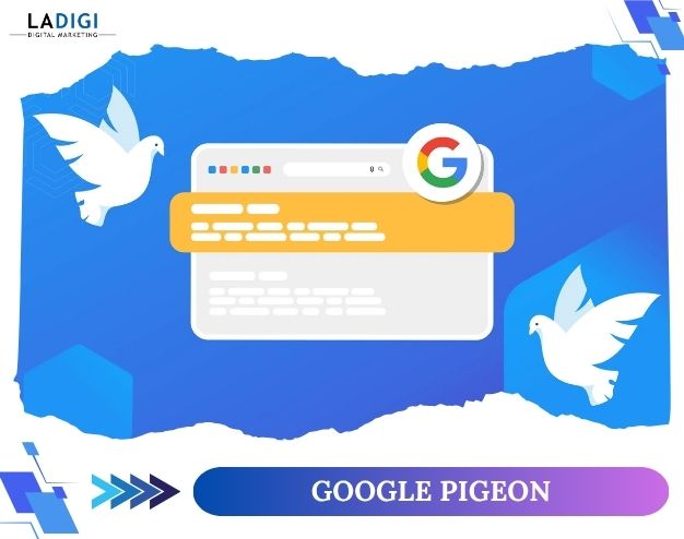 Google Pigeon là gì? 9 điều cần nắm về Google Pigeon
