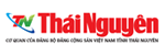 Dịch vụ SEO 56