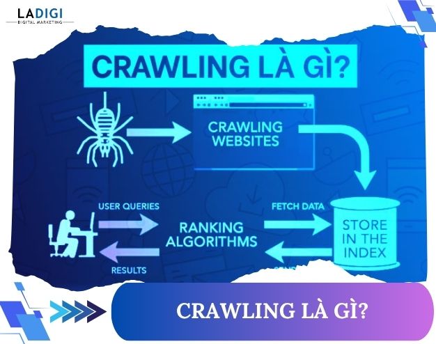 Dịch vụ SEO 146 Crawling là gì