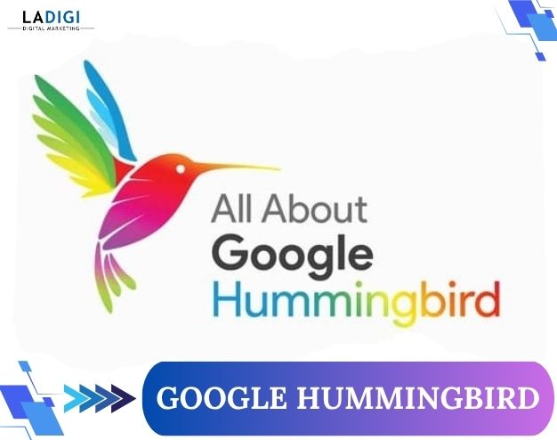 Google Hummingbird là gì? Cơ chế hoạt động và cách tối ưu SEO hiệu quả