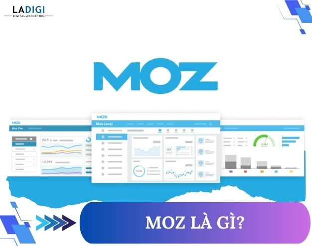 LADIGI Agency 113 Moz là gì