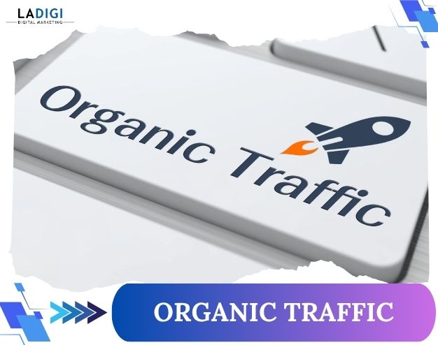 LADIGI Agency 118 Organic Traffic
