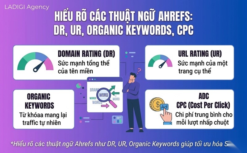 Ahrefs là gì? Tìm Hiểu Công Cụ SEO Toàn Diện và Giá Trị Sử Dụng 6 H3 Domain Rating DR và URL Rating UR
