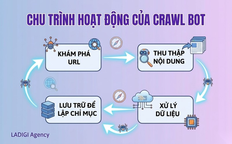 Crawling là gì trong SEO? Cách thức hoạt động của Web Crawler và Tối ưu hóa 3 Chu trình hoạt động của Crawl Bot