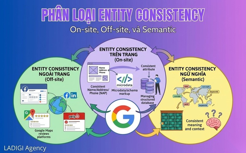 Entity Consistency là gì? Tầm quan trọng của Entity Consistency trong SEO 10 Các loại hình Entity Consistency Phân biệt và quản lý hiệu quả