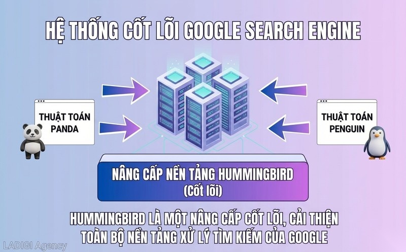 Google Hummingbird là gì? Cơ chế hoạt động và cách tối ưu SEO hiệu quả 5 Sự khác biệt của Hummingbird so với các thuật toán Google khác