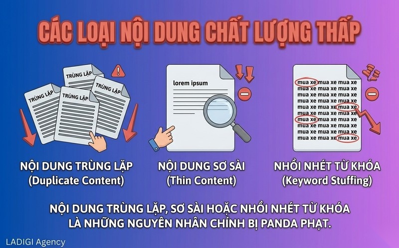 Google Panda là gì? Bản chất và lịch sử phát triển của thuật toán Panda 5 H3 Nguyên nhân chính dẫn đến án phạt