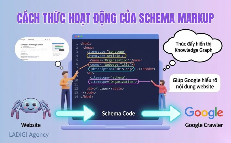 Knowledge Graph là gì? Tầm quan trọng và cách tối ưu cho SEO 8 Sử dụng Schema Markup