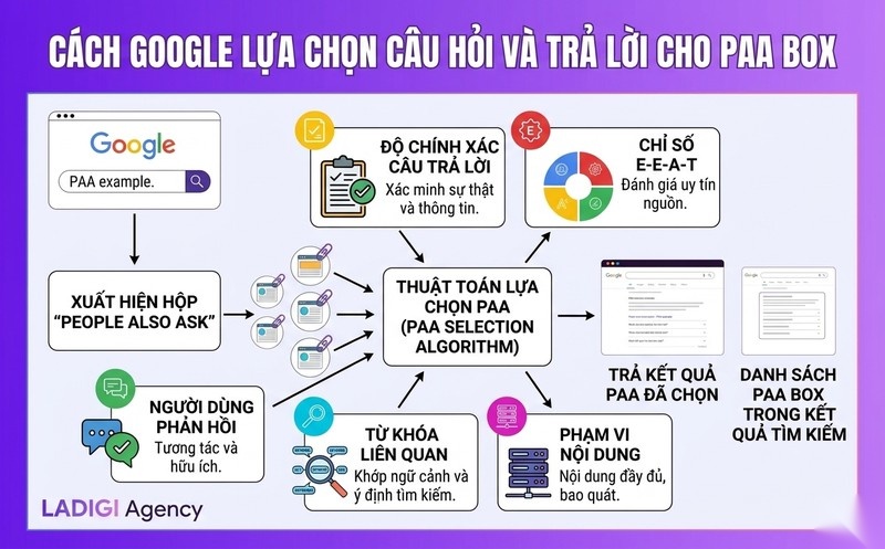 People Also Ask (PAA) là gì? Chiến lược tối ưu hóa PAA hiệu quả trong SEO 4 Cơ chế hoạt động của People Also Ask