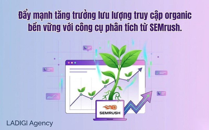 SEMrush là gì? Hướng dẫn sử dụng và Tính năng hỗ trợ SEO hiệu quả 9 Tăng trưởng lưu lượng organic