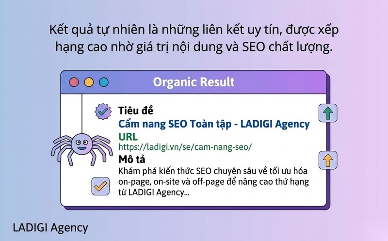 SERP là gì? Tầm quan trọng, các tính năng và chiến lược tối ưu hiệu quả 2 Kết quả tìm kiếm tự nhiên Organic Results