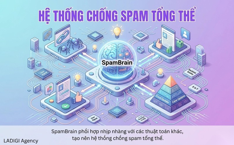 SpamBrain là gì? Cơ chế hoạt động của SpamBrain 6 4 SpamBrain và mối liên hệ với các thuật toán Google khác Phân biệt và phối hợp