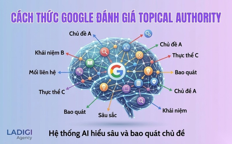 Topical Authority là gì? Cách xây dựng Topical Authority cho website 7 Google đánh giá Topical Authority qua khả năng hiểu sâu và bao quát chủ đề của website