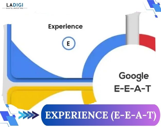 LADIGI Agency 113 Experience (E-E-A-T)