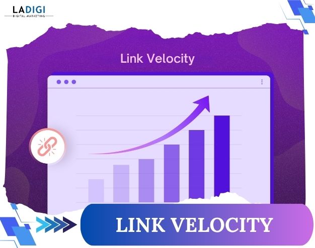 LADIGI Agency 111 Link Velocity