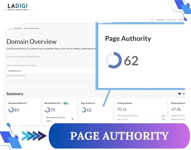 LADIGI Agency 112 Page Authority