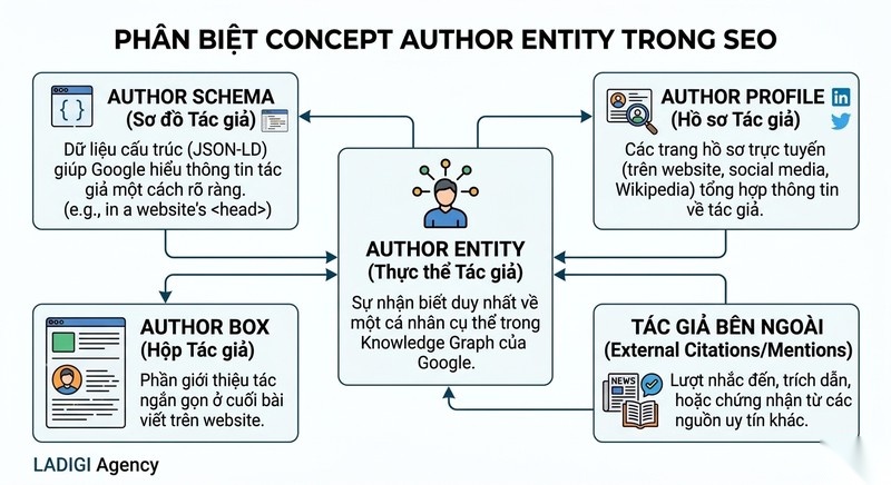 Author Entity là gì? 3 Bước xây dựng hồ sơ tác giả chuẩn E-E-A-T 1 Author Entity là gì Khái niệm phân biệt với Author Schema Author Profile Author Box