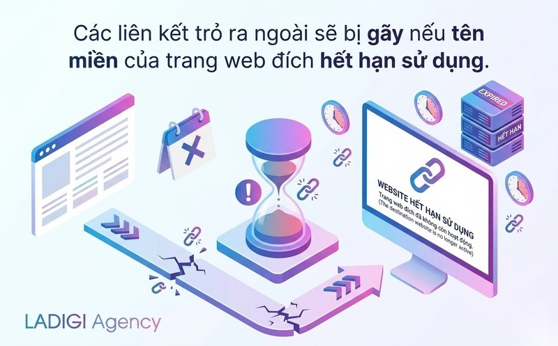 Broken Link là gì? 4 Cách kiểm tra và xử lý hiệu quả 3 Tên miền liên kết ngoài đã hết hạn