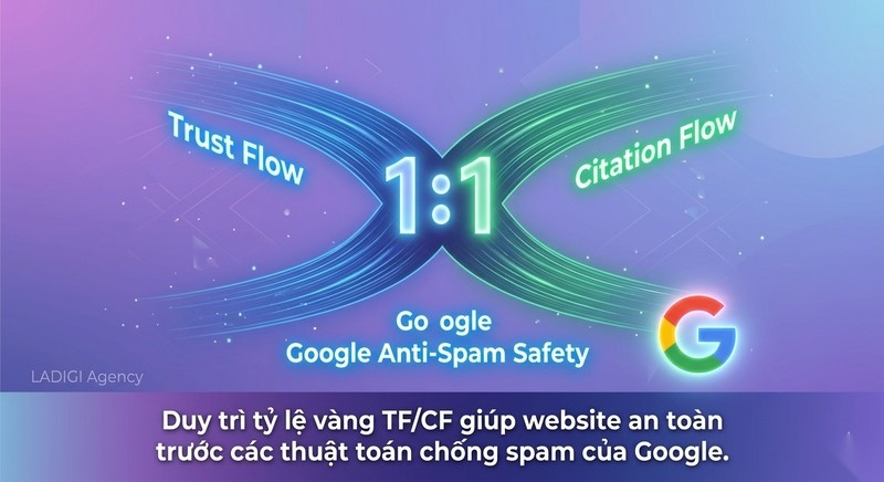 Citation Flow (CF) là gì? 6 cách tối ưu chỉ số CF hiệu quả 10 Tỷ lệ vàng giữa Trust Flow và Citation Flow