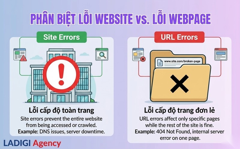 Crawl Error là gì? 5 loại lỗi thu thập dữ liệu phổ biến nhất 2 2 Phân loại các lỗi Crawl Error phổ biến