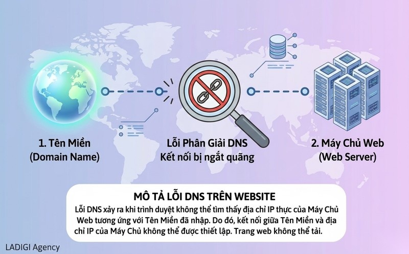 Crawl Error là gì? 5 loại lỗi thu thập dữ liệu phổ biến nhất 3 3 Lỗi DNS Domain Name System