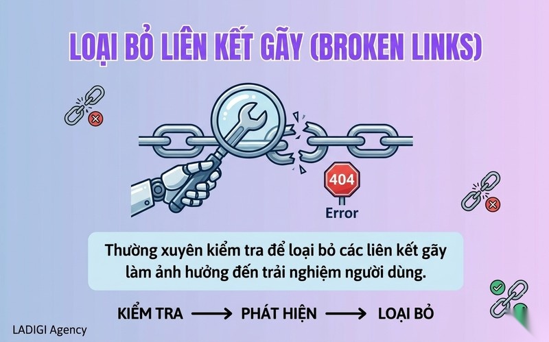 External Link là gì? 6 tiêu chuẩn tối ưu liên kết ngoài chuẩn SEO 8 5 6 Kiểm tra và xử lý liên kết gãy