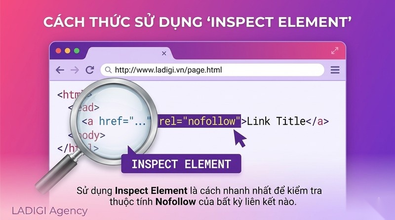 Nofollow Link là gì? 4 tác động quan trọng đến SEO 6 Kiểm tra bằng tính năng Inspect Element