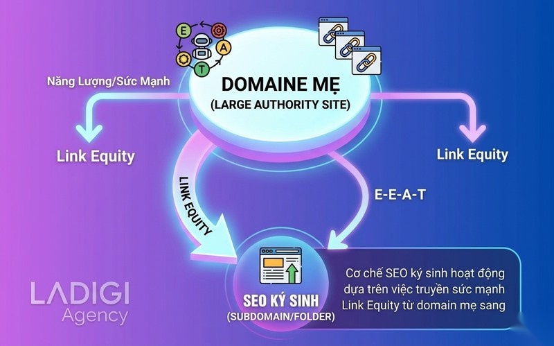 Parasite SEO là gì? 5 chiến lược triển khai hiệu quả và an toàn 2 Cơ chế vận hành của SEO ký sinh