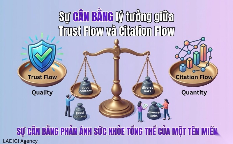 Trust Flow (TF) là gì? 6 cách tăng Trust Flow hiệu quả 1 Mối quan hệ giữa Trust Flow và Citation Flow