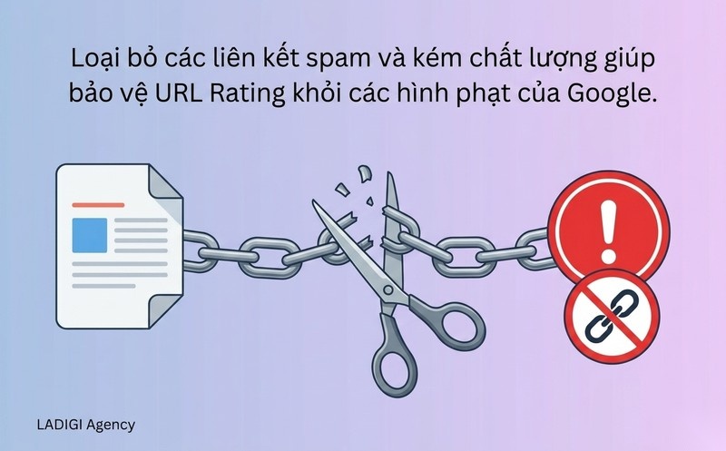 URL Rating (UR) là gì? 5 cách tối ưu chỉ số UR hiệu quả 5 Loại bỏ các liên kết kém chất lượng